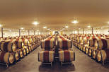 Grands Crus Classes de Graves Wine Tour and Montesquieu's Chateau