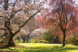 Christchurch Garden Tour
