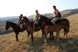 Christchurch Horse Trekking