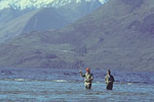 Full Day Fishing Tour from Christchurch
