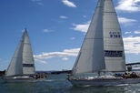 Auckland Harbour Lunch Sailing Trip