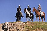 Wairarapa Adventure Tour including Wine Tasting from Wellington