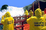 Niagara Falls American Side Half-Day Tour