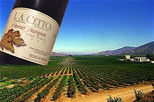 Baja Wine Tour