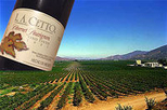 Baja Wine Tour