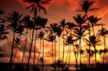 Roundtrip Kauai Airport Transfer