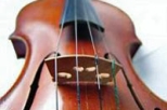 Private Music Tour of Florence including Accademia Gallery