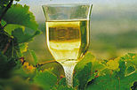 Margaret River 2-Day Wine Experience Tour from Perth