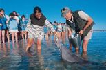 5-Day Monkey Mia Dolphins, Pinnacles Desert, Kalbarri and Ningaloo Reef Tour from Perth