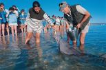 5 days Pinnacles Desert, Kalbarri, Monkey Mia and Ningaloo Reef Tour from Perth