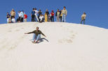 Pinnacles Desert, Koalas and Sandboarding 4WD Day Tour from Perth