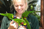 Bird Kingdom - All Day Admission Ticket