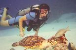 PADI Certified Scuba Diving in Cozumel