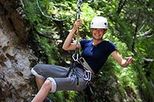 Sarapiqui Canopy and Rainforest Day Tour