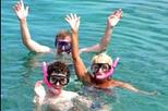 Key West Shore Excursion: Shipwreck Snorkel and Wild Dolphin Encounter