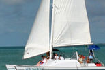 Shipwreck Snorkel and Wild Dolphin Encounter
