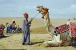 Camel Ride of Aswan