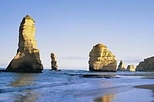 Great Ocean Road Small Group Eco Tour from Melbourne
