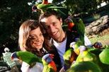 Currumbin Wildlife Sanctuary