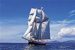 Bay of Islands Tall Ship Sailing on R. Tucker Thompson