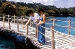 Xel-Ha: All Inclusive Day Tour