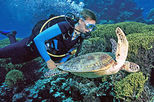 Outer Great Barrier Reef Day Trip for Certified Divers aboard SeaQuest ADV