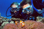 Outer Great Barrier Reef Day Trip for Introductory Divers aboard SeaQuest ADV