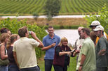 Yarra Valley Wine Experience in Melbourne