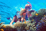 2-Day Best of Cairns and the Great Barrier Reef