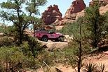 Diamondback Gulch Jeep Tour