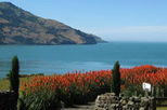 Akaroa Harbour and Banks Peninsula Eco Marine Harbour Cruise Small Group Tour