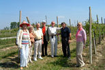 Lison-Pramaggiore Wine Region Half-Day Tour by Minivan