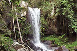 Lamington Day Hike