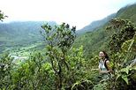 Oahu Mountain Rainforest Adventure