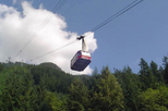 Private Tour  Capilano Suspension Bridge and Grouse Mountain - Local City Tour