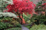 Private Tour to Victoria and Butchart Gardens from Vancouver