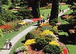 English Tea at Butchart Gardens from Victoria