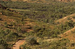 24 Hour Uluru (Ayers Rock) Eco-Pass
