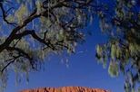 24 Hour Uluru (Ayers Rock) Eco-Pass plus Sounds of Silence Dinner