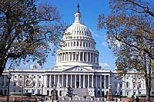 DC It All! - Washington DC Guided Tour