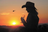 Grand Canyon Helicopter and Sunset Ranch Adventure