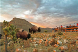 Self-Drive Overnight Campout at Grand Canyon Ranch and Horseback Ride Adventure