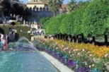 Private Day Tour to Cordoba