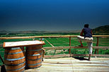 Colchagua Valley Wine Tour