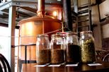 Muir Woods and Brewery Tour