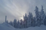 Midnight Sun at the Arctic Circle and Santa Claus Safari