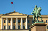 Oslo Experience Cruise and Tour