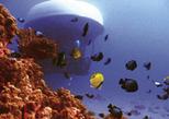 Atlantis Maui Submarine Adventure