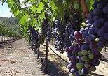 Helicopter Tour with Picnic Lunch in the San Francisco Wine Country