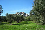 Arles, Les Baux and Saint Remy de Provence from Marseille